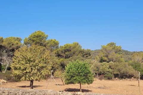 Helårsgrund i Manacor, Mallorca, Manacor - € 390.000 | Ref: 1706 - foto 2